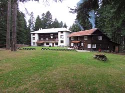 Picture_2 005